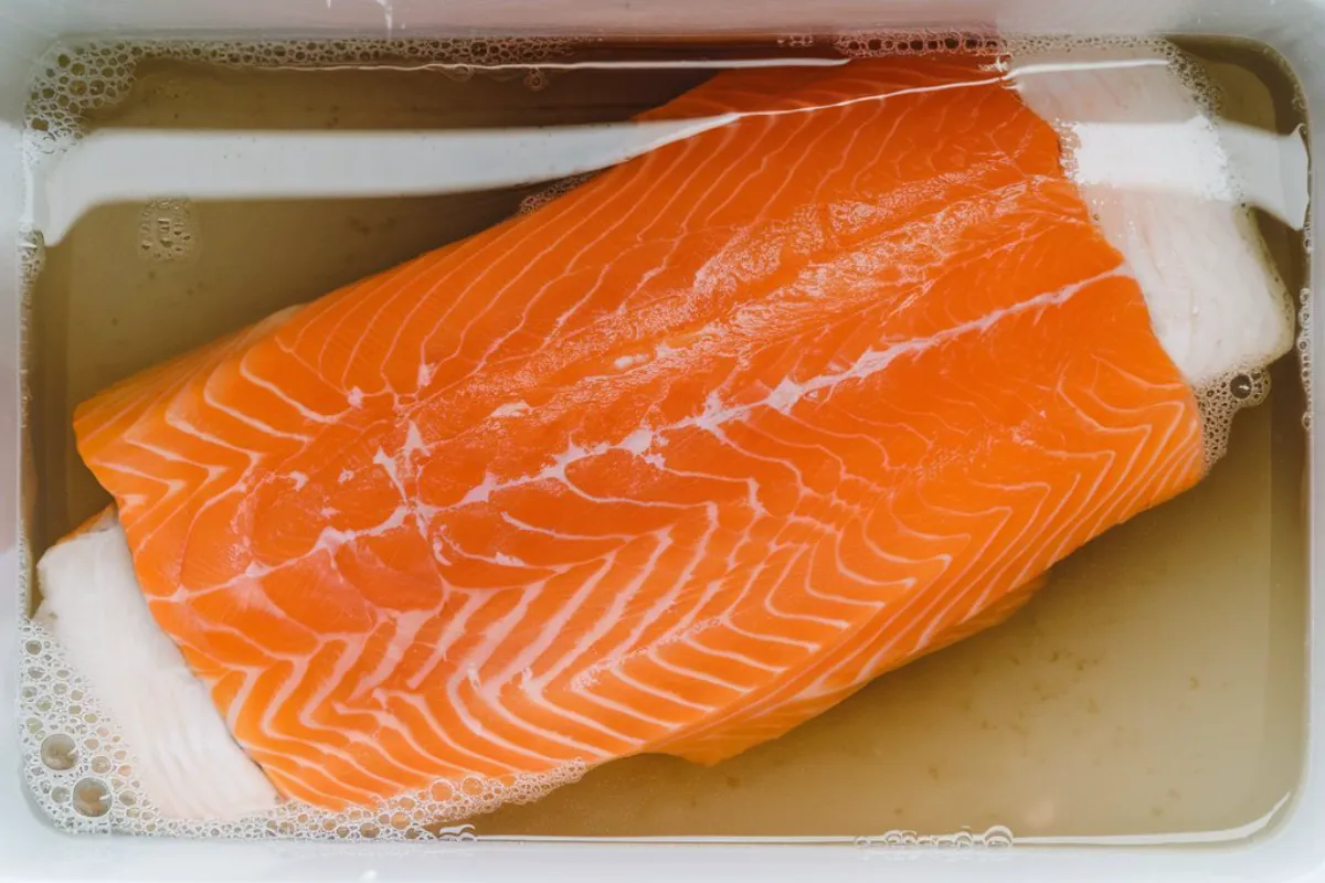 Brining salmon in a container with salt, herbs, and spices before smoking